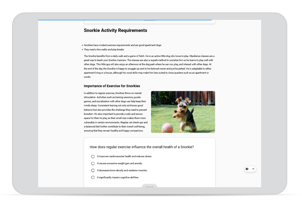 Snorkie educational material 3