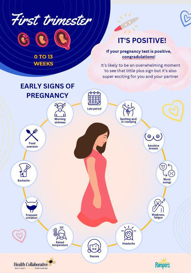 Track Your Way through Pregnancy journal page