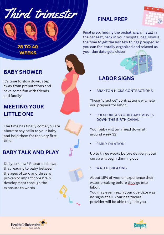 Track Your Way through Pregnancy journal page