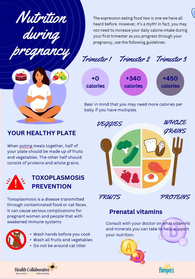 Track Your Way through Pregnancy journal page