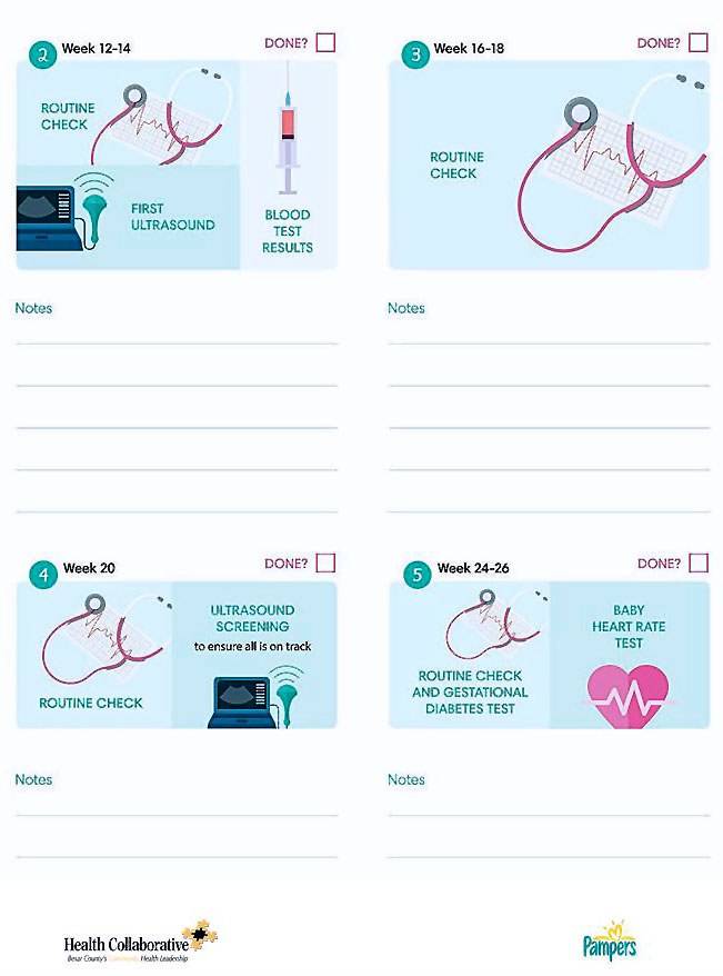 Track Your Way through Pregnancy journal page